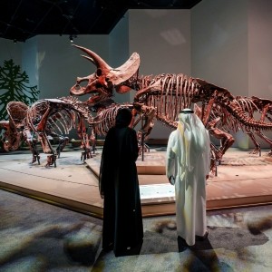 NATURAL HISTORY MUSEUM ABU DHABI