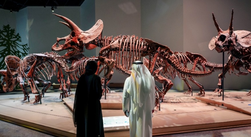 NATURAL HISTORY MUSEUM ABU DHABI