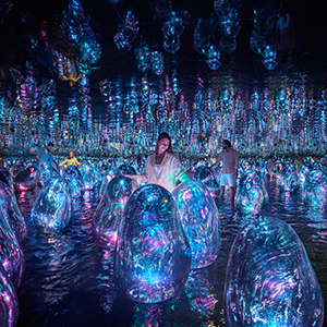 TEAMLAB PHENOMENA ABU DHABI