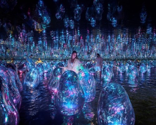 TEAMLAB PHENOMENA ABU DHABI