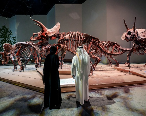 NATURAL HISTORY MUSEUM ABU DHABI